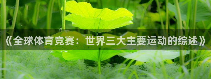 xc体育：《全球体育竞赛：世界三大主要运动的综述》