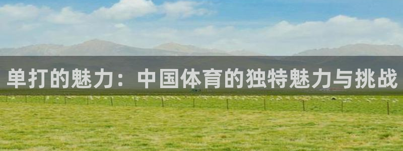 xc体育：单打的魅力：中国体育的独特魅力与挑战