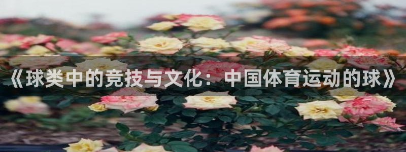 xc体育app官方网站：《球类中的竞技与文化：中国体育运动的球》